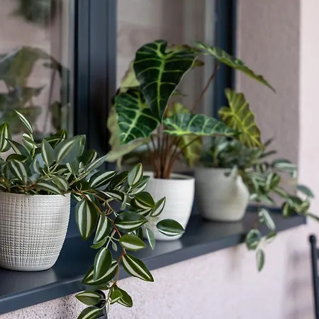 Lux M&b 3 شقة زلاتيبور