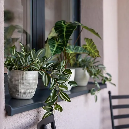 شقة Lux M&b 3 زلاتيبور