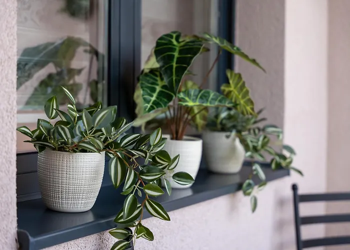 Lux M&b 3 Apartment Zlatibor