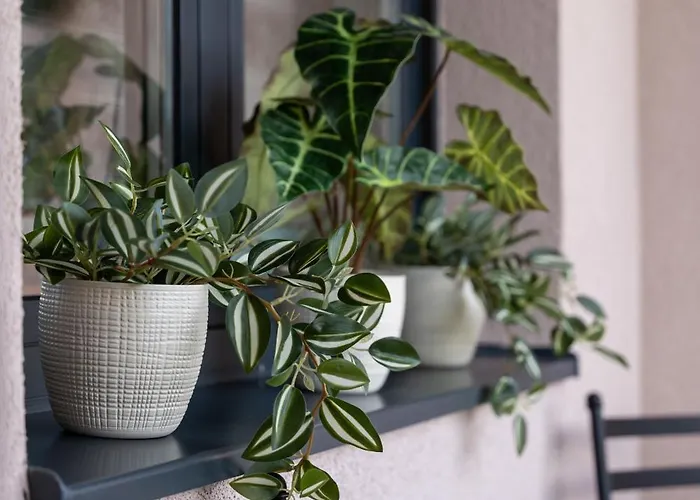 Apartment Lux M&b 3 Zlatibor